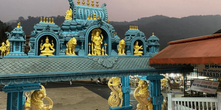 Feature Image