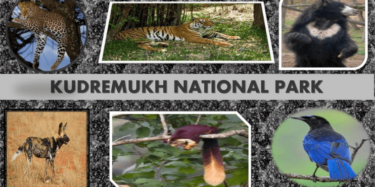 Kudremukh National Park