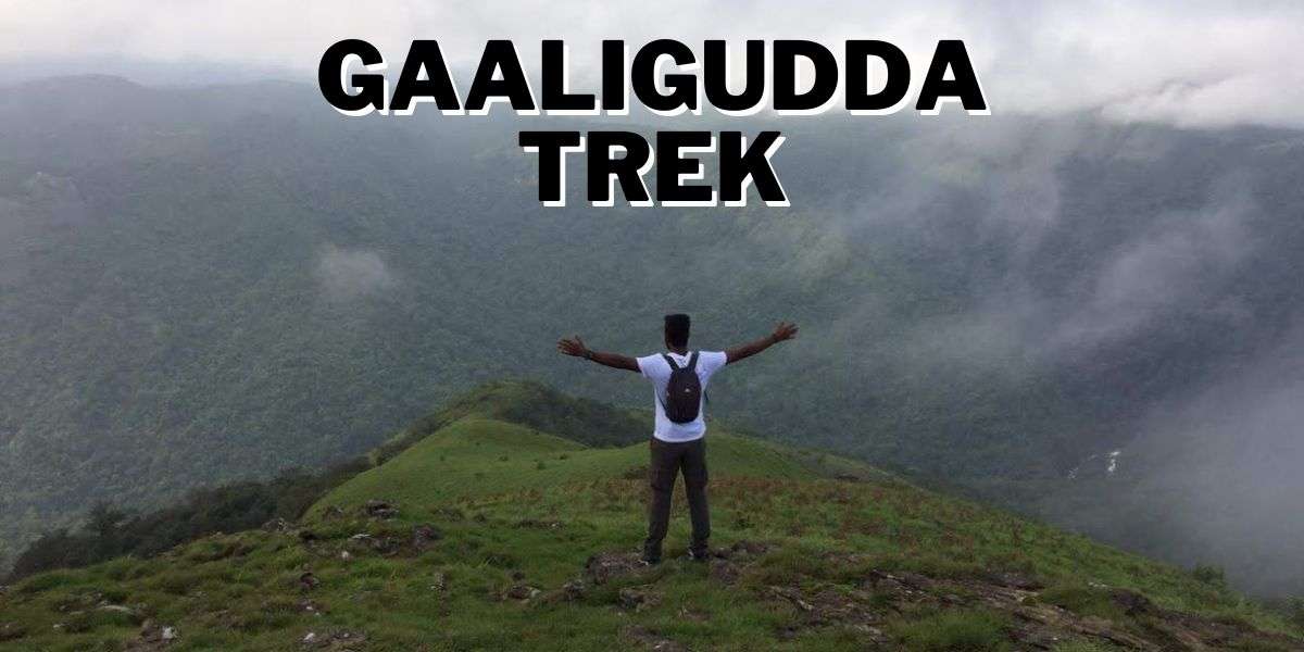 Gaali Gudda Trek in Kerala: A scenic hike through lush forests and rugged terrain, offering breathtaking views of Kerala's natural beauty.