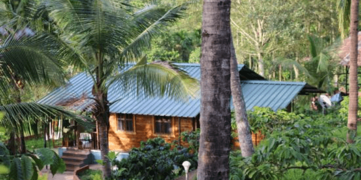 Traditional Wooden Cottages