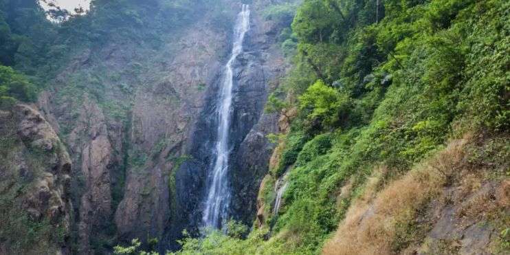 A serene waterfall flowing through a vibrant green forest, creating a picturesque scene of nature's beauty.