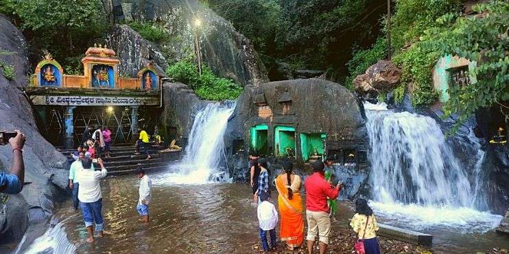 A group of people standing around a jungle waterfall, surrounded by lush greenery and trees.