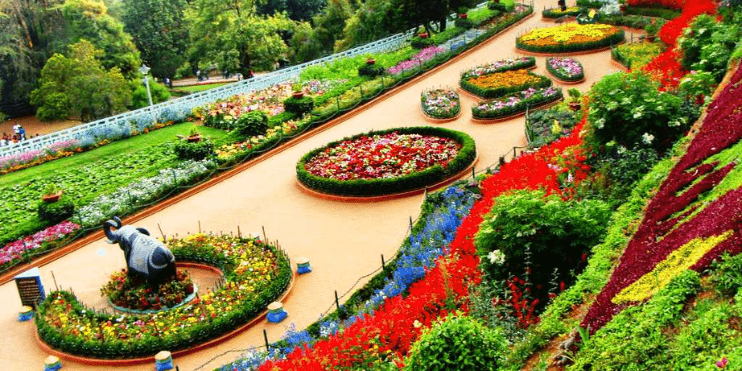 Kemmangundi Rose Garden