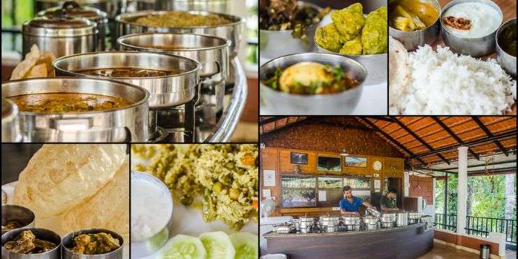 A collage of various mouthwatering dishes and food items, showcasing a delightful culinary experience.