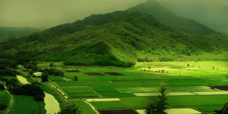 Natural Beauty and Landscape Of Coorg