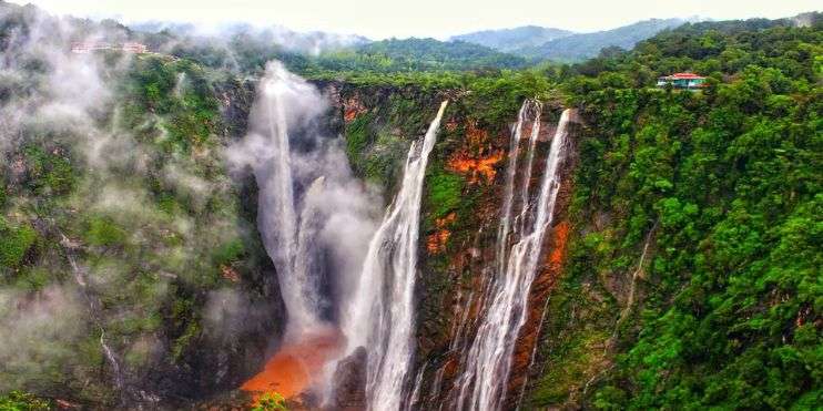 A serene waterfall flowing through a forest of vibrant green trees.