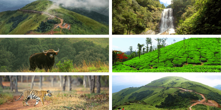 Top Attractions in Chikmagalur