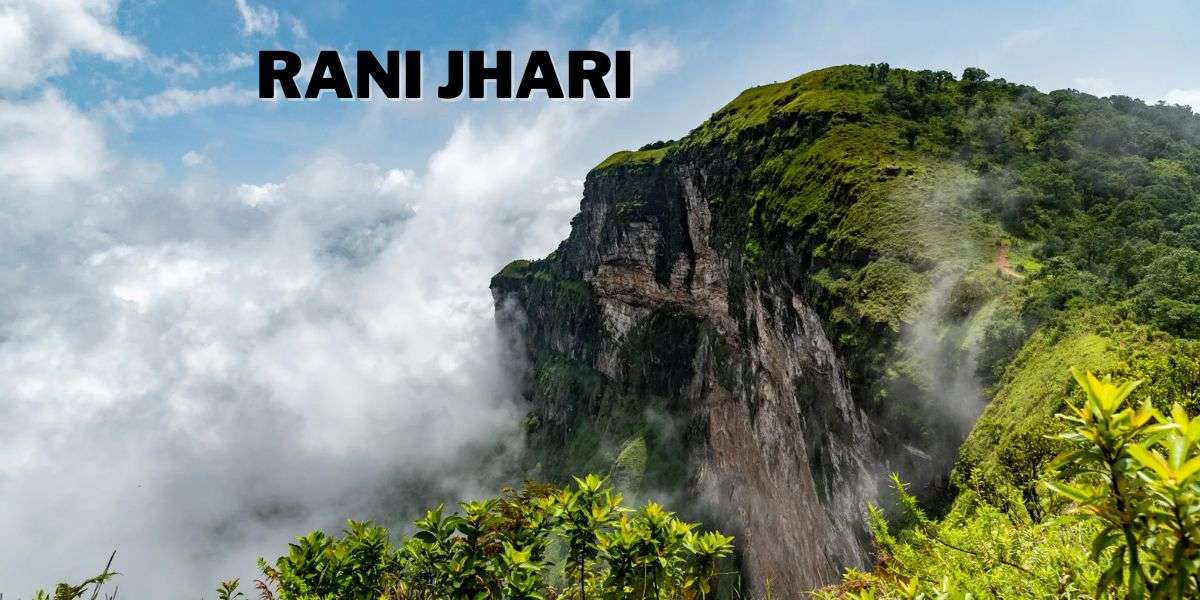 Raini Hari - a serene village nestled in the lush greenery of Kerala, offering a peaceful retreat amidst nature's beauty.