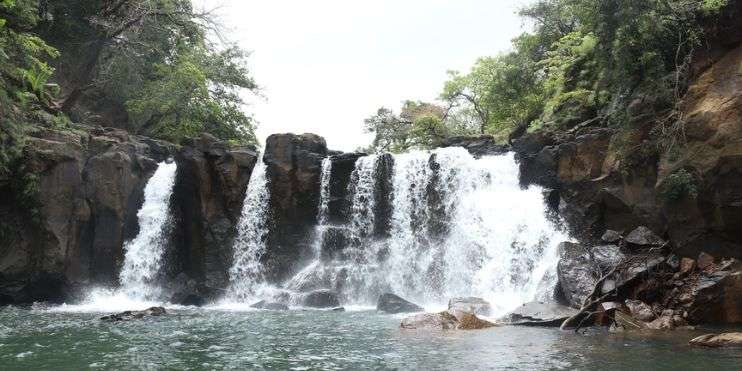 A serene waterfall flowing through a lush forest, surrounded by tall trees and vibrant greenery.