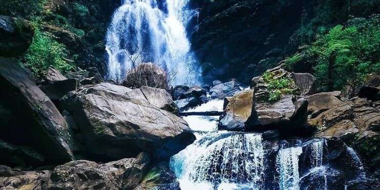 A serene waterfall surrounded by lush green trees in a tranquil forest setting.