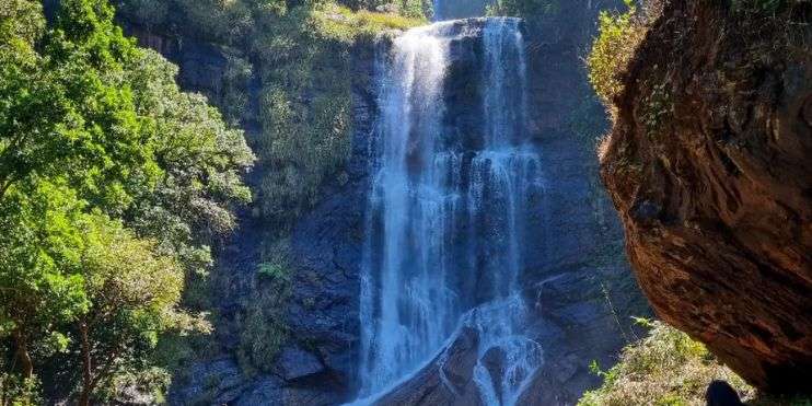 A serene waterfall flowing through a lush forest, surrounded by vibrant greenery and tall trees.