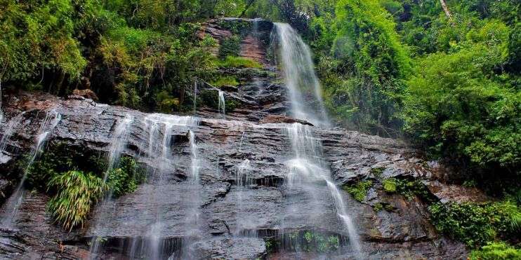 A serene waterfall flowing through a vibrant green forest, creating a picturesque scene of nature's beauty.