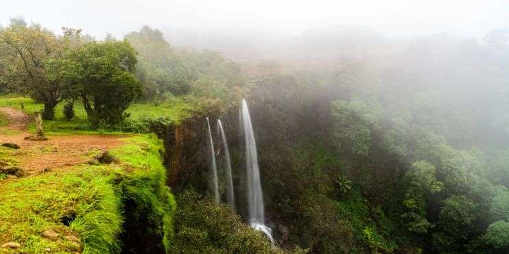 A picturesque waterfall nestled amidst vibrant green trees, creating a serene and captivating natural scene.