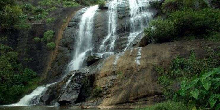 A serene waterfall flowing in the midst of a vibrant green forest.