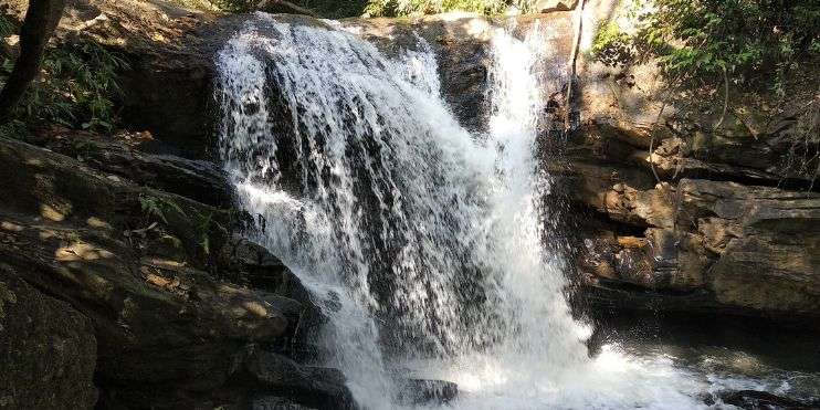 A picturesque jungle waterfall surrounded by lush greenery, rocks, and trees, creating a serene and natural beauty.