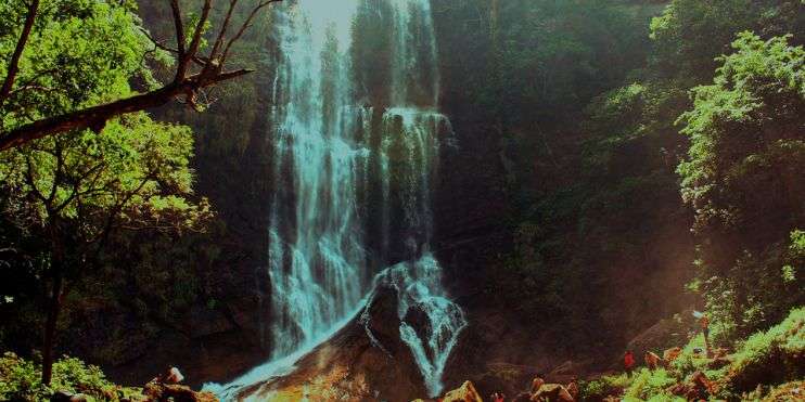 A waterfall in the jungle with people standing around it, enjoying the serene beauty of nature.