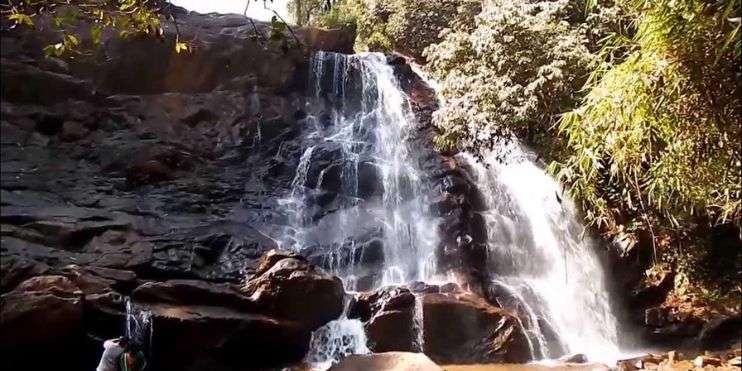 A serene waterfall in the heart of a lush forest, surrounded by vibrant greenery and the sounds of nature.