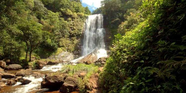  A serene waterfall flowing in a lush green forest.