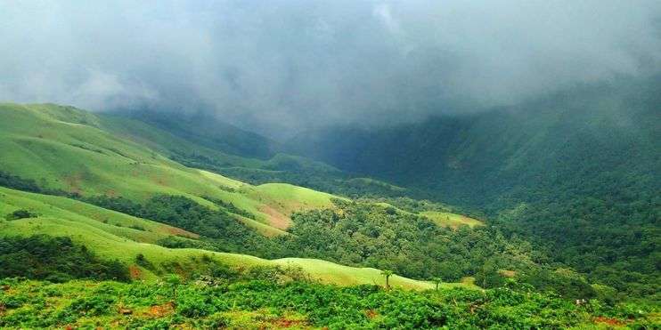 A serene green hillside with clouds and trees in Chikmagalur during monsoon, creating a refreshing and vibrant environment.