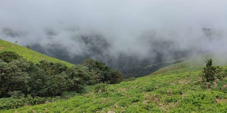 Misty mountain featuring Devaramane Betta.