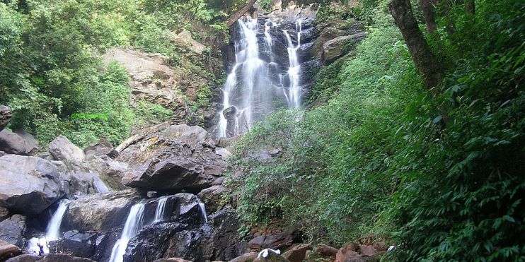 A serene waterfall flowing in the heart of a vibrant green forest, surrounded by tall trees and colorful flowers.