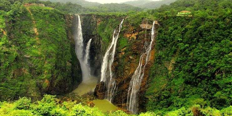 A serene waterfall in a lush green forest, Manikyadhara Falls near Baba Budangiri is a popular tourist spot in Chikmagalur.