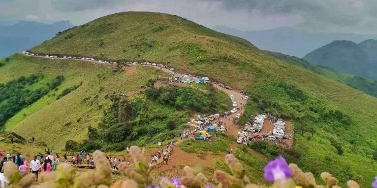 Hikers walking on mountain trail with flowers. Trek to Devaramane Betta Chikmagalur.