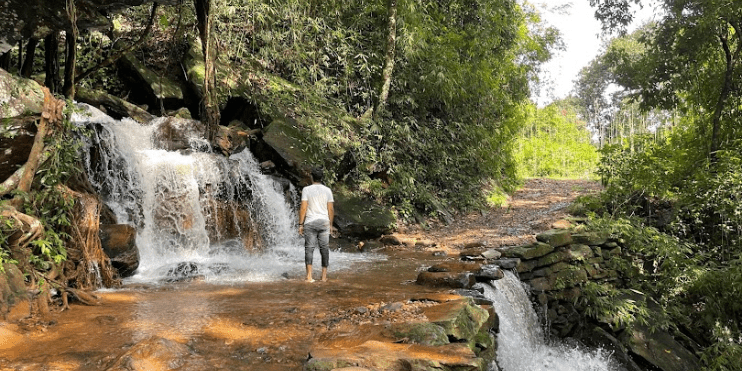 In the jungle, a man gazes at Elneer Falls, a stunning waterfall that showcases the natural beauty near Kalasa.