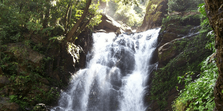 A stunning view of Hanuman Gundi Falls, a hidden waterfall in Kalasa, surrounded by lush jungle greenery.