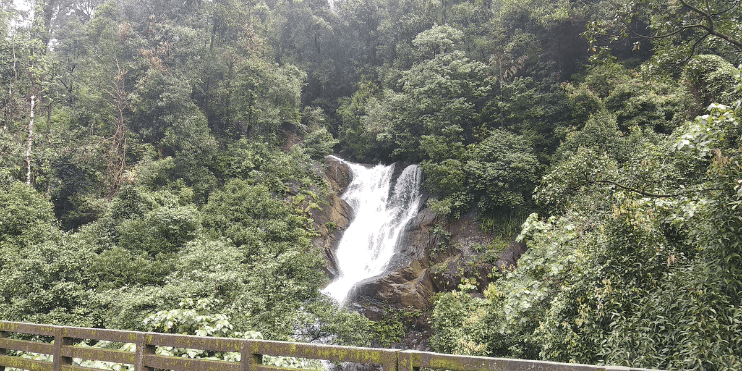 A serene view of Kadambi Falls, nestled in a lush forest surrounded by vibrant trees in Kalasa.