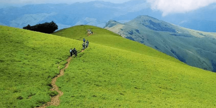 People stroll on a lush green hillside, with the majestic Kudremukh Peak rising in the background, ideal for trekking.