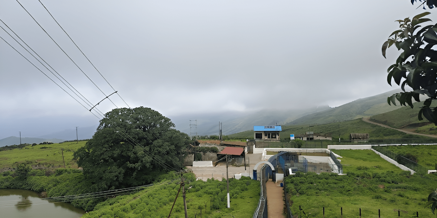 Aerial view of a house enveloped by lush trees, showcasing the serene beauty of nature in a tranquil setting.