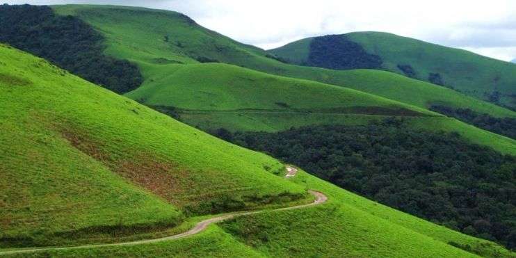 A curving road winds along a green hillside, reflecting the picturesque charm of Chikmagalur's natural surroundings.