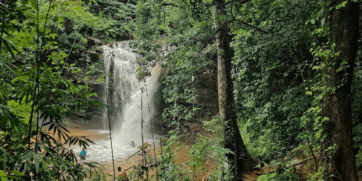 A stunning view of Soormane Falls in Kalasa, cascading through lush jungle greenery and surrounded by vibrant trees.