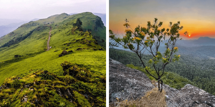 Two images of a mountain at sunset, featuring a tree, showcasing the beauty of nature's evening palette.