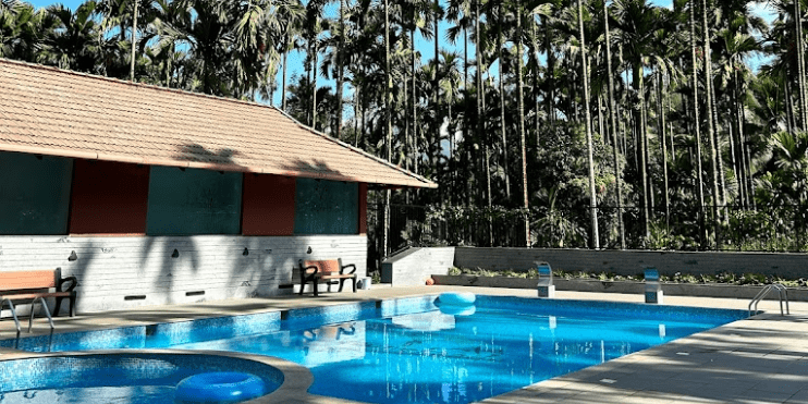 A tranquil pool surrounded by palm trees and a house, offering a serene escape in a lush environment.