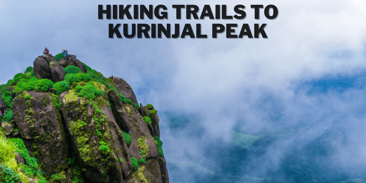 Ultimate Guide to Kurinjal Peak Trek: Trails, Tips & Attractions