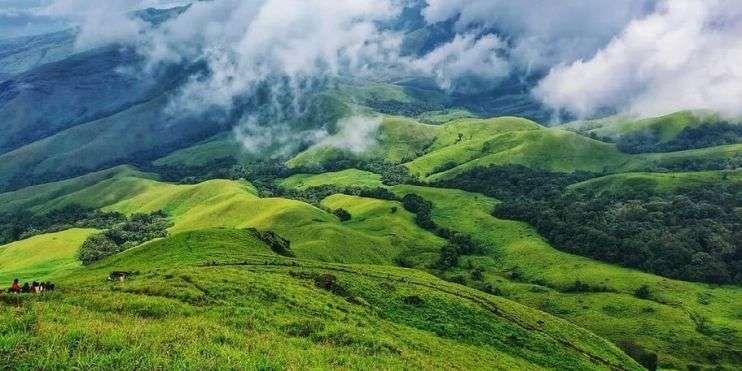  Lush green hills of Kerala, showcasing the rich biodiversity and scenic beauty of the Western Ghats in Kudremukh National Park.