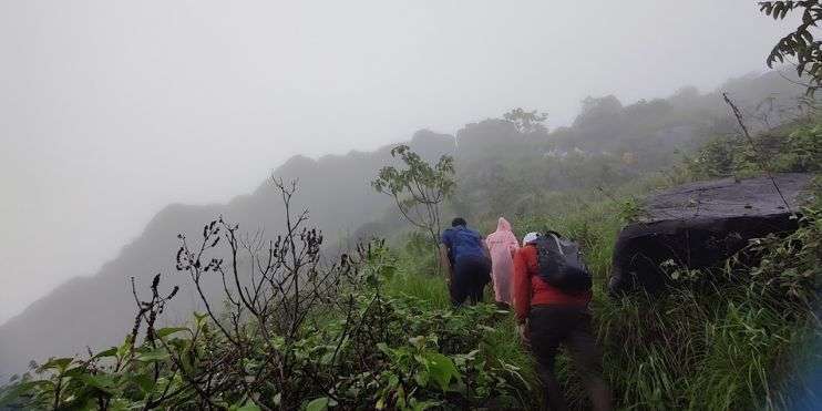 Three hikers with backpacks ascend a mountain trail, surrounded by dense forest and the sounds of nature.