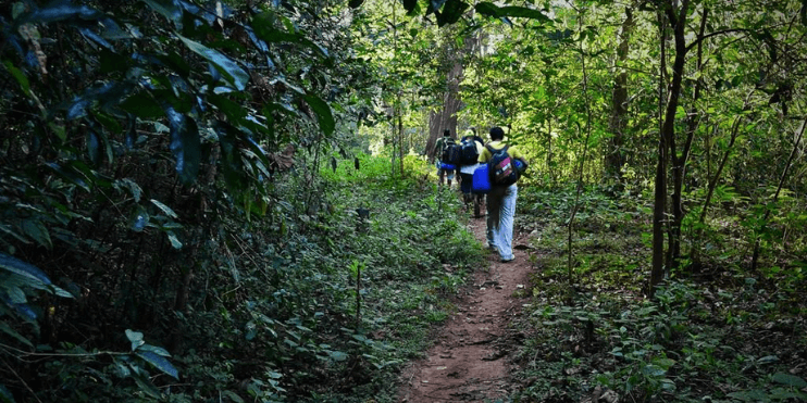 A group of individuals traversing a wooded trail, immersed in nature and enjoying the serene environment.