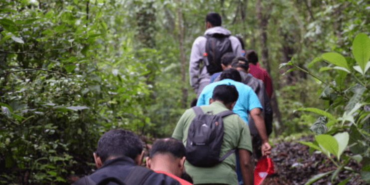 A group of people walking through a lush forest, surrounded by greenery, enjoying nature during their Agumbe trip.