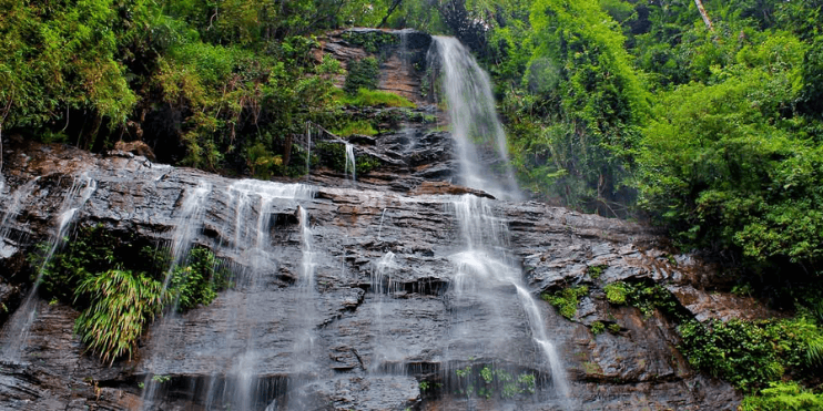 A serene waterfall cascades through lush jungle vegetation, creating a tranquil oasis perfect for relaxation and nature photography.