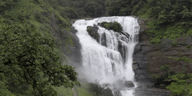 A stunning waterfall cascades through a vibrant green forest, inviting nature lovers to experience its beauty and tranquility.