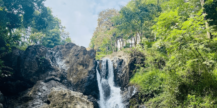 A serene jungle waterfall surrounded by lush trees and vibrant green vegetation, creating a tranquil natural retreat.