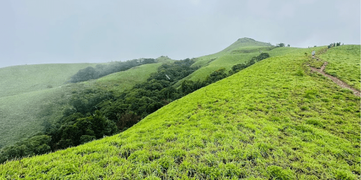 A lush green hill adorned with grass and trees, symbolizing the beauty of nature along the Bandaje Falls Trek.