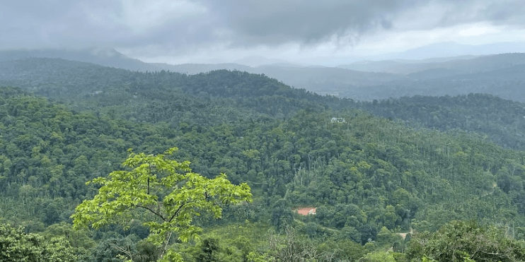 A breathtaking view of mountains and forest from a hilltop, showcasing vibrant sunset colors over the valley.