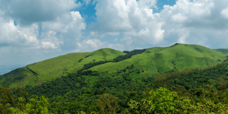 Lush green hills of Kerala under clear skies, showcasing nature's tranquility and inviting exploration and relaxation.