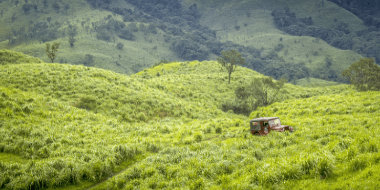 A red tractor traverses a vibrant green field, symbolizing agricultural life and the beauty of nature.