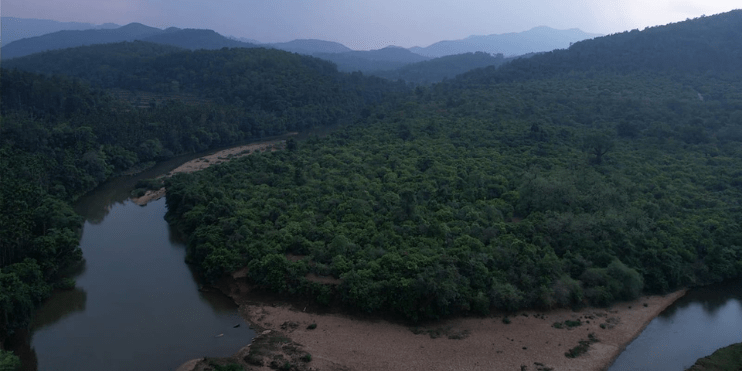 A serene river flows through a lush forest, framed by majestic mountains in the background, inviting nature enthusiasts.