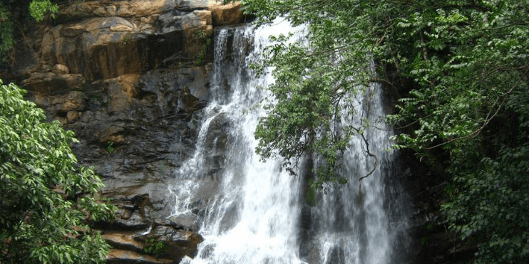 A stunning waterfall cascades through a lush jungle, surrounded by vibrant greenery and the sounds of nature.